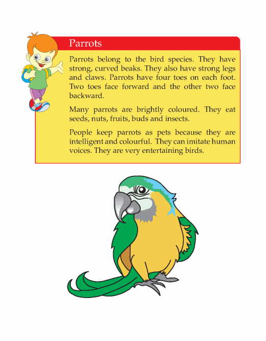Writing skill -grade 3 - parrots (3)